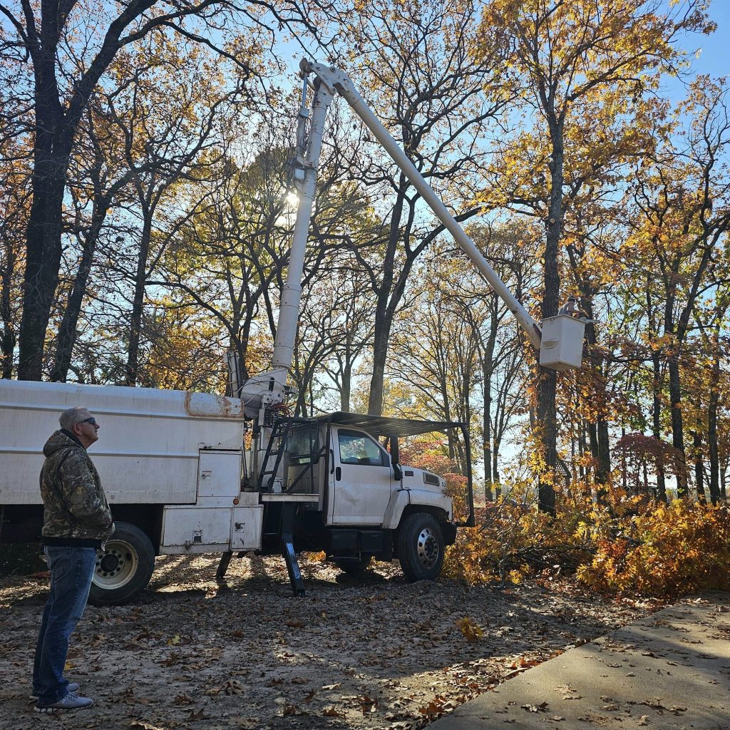Lot Clearing Services East Texas