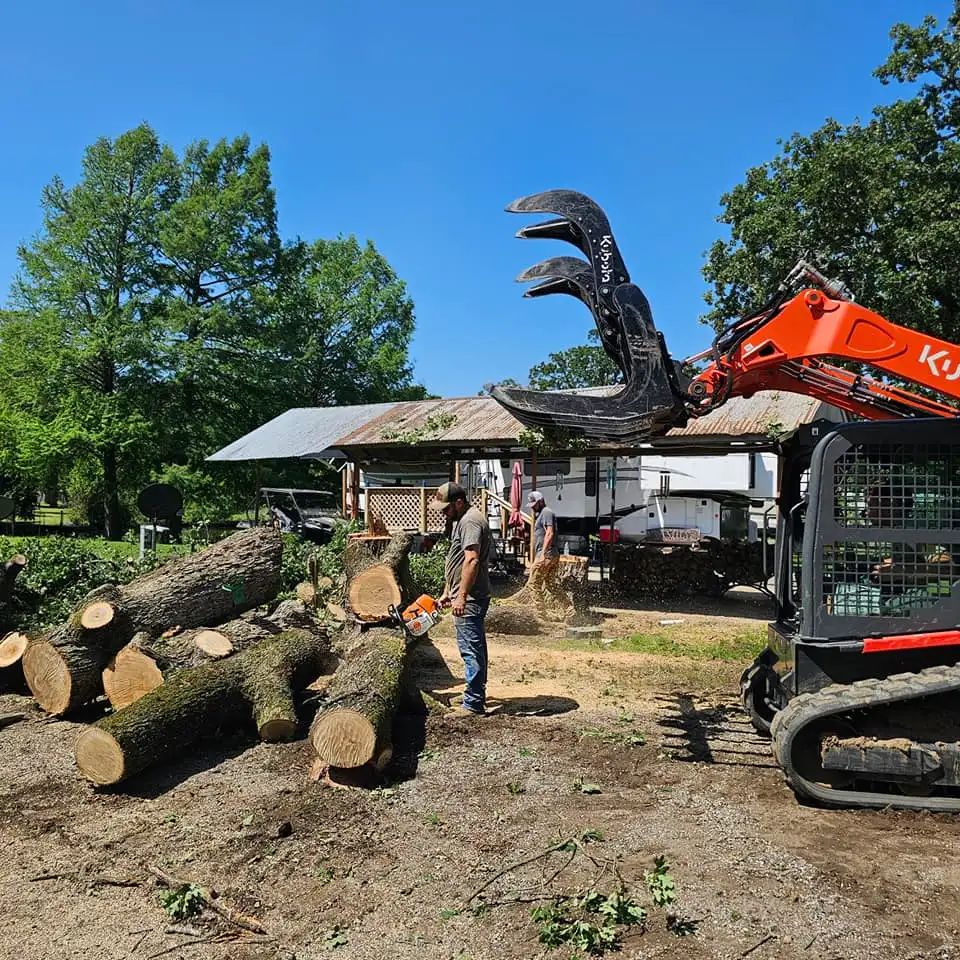 Property Tree Clearing East Texas