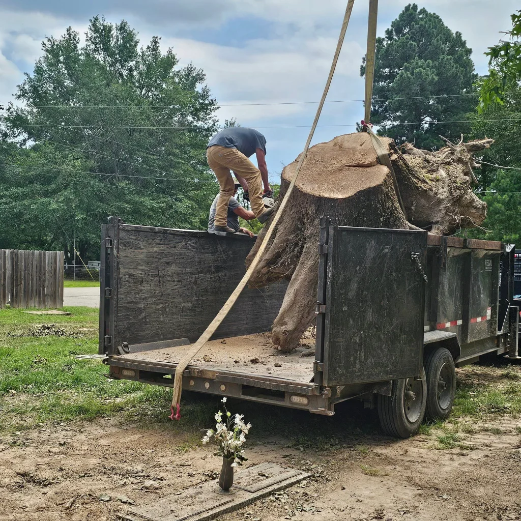 Brush Removal Services East Texas