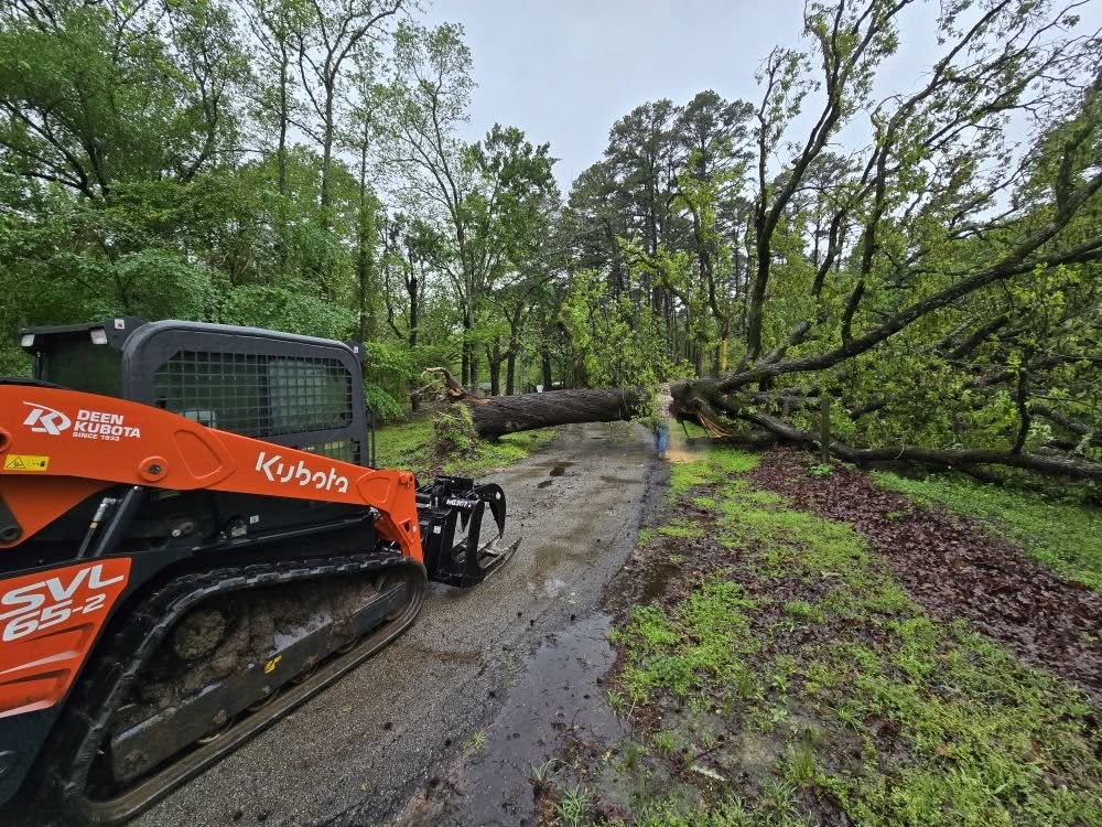 Tree Removal