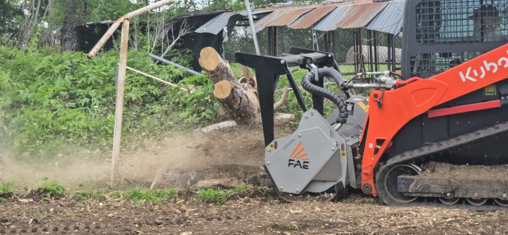 Best Mulching Services Fruitvale TX | Local Tree Experts