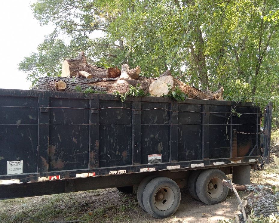 Tree Service Fruitvale