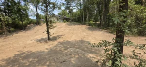 Cleared lot behind a house after brush and trees were removed in East Texas