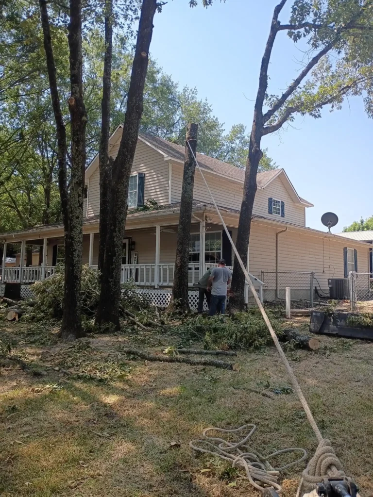 Rts crew removal beside house