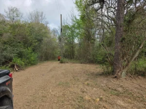 Cleared right-of-way trail through woods in East Texas