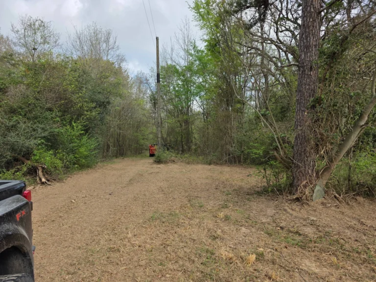 Cleared right-of-way trail through woods in East Texas
